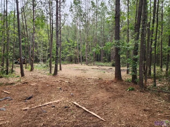 TRACT R Two C La Hwy Lot 43, Independence, LA 70443