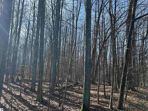 2nd image of LOT 39 Schutzen Ln