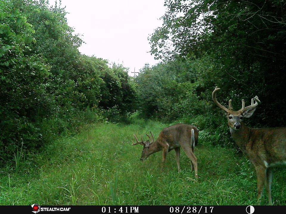 1st image of Great Barrington Dr #3