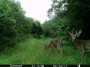 Great Barrington Dr #3, Holly Twp, MI 48442