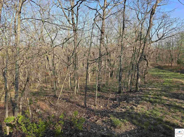 Galvin Pl, Edwards, MO 65326