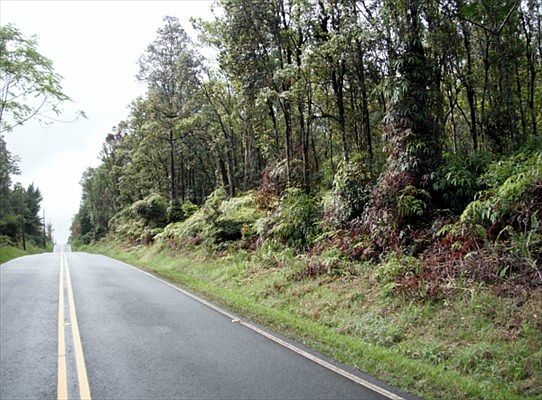 2nd image of Road 9 Koloa Maoli Lot 5422