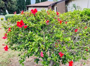 1836 S Palmetto Ave, Ontario, CA 91762