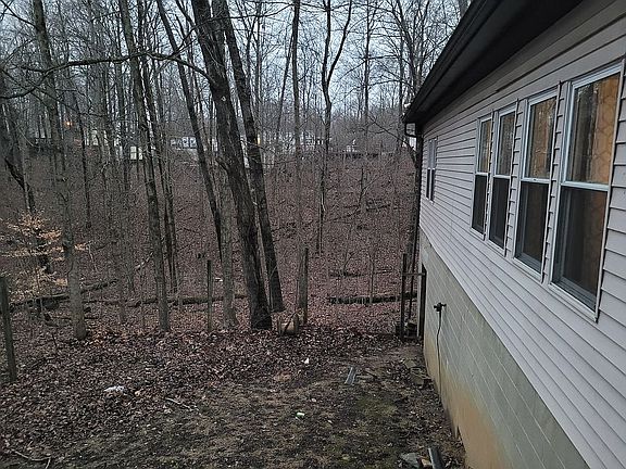 Yard & entrance to basement