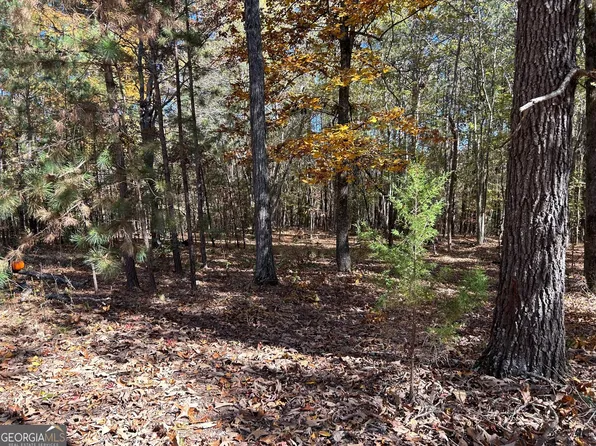 0 Wray Rd, Buchanan, GA 30113
