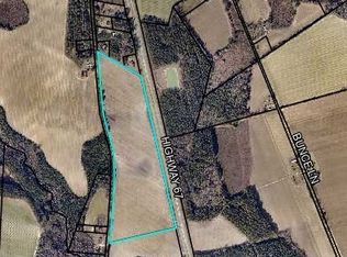 41.43 Acres Hwy #67, Statesboro, GA 30461