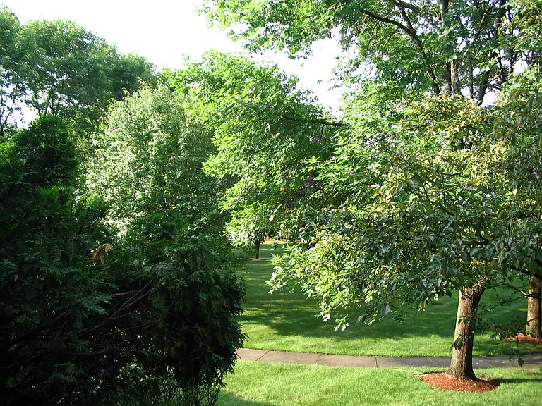 Quiet, Serene and Green !