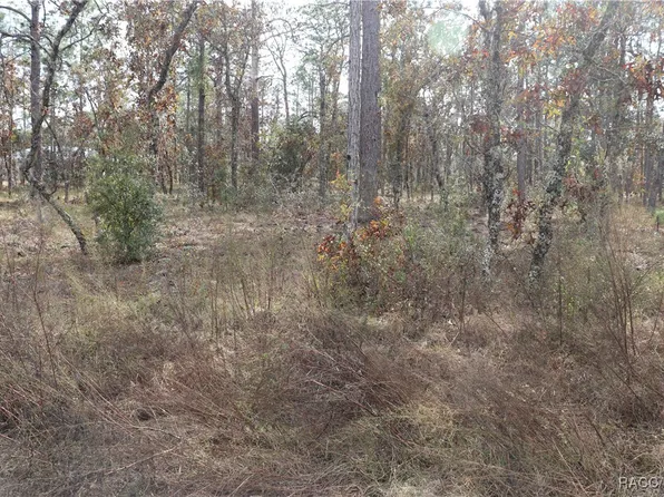0 NW Geranium Ave, Dunnellon, FL 34431