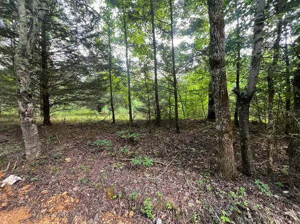 0 County Road 521, Anderson, AL 35610