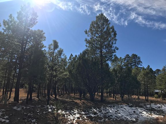 2nd image of 1644 Sugar Pine Dr Lot 223