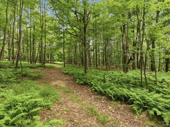 California Avenue, Liberty, NY 12754