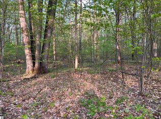 0 Par King Dr, Bellaire, MI 49615