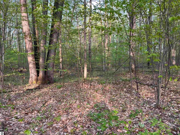 0 Par King Dr, Bellaire, MI 49615