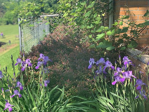 View from the street