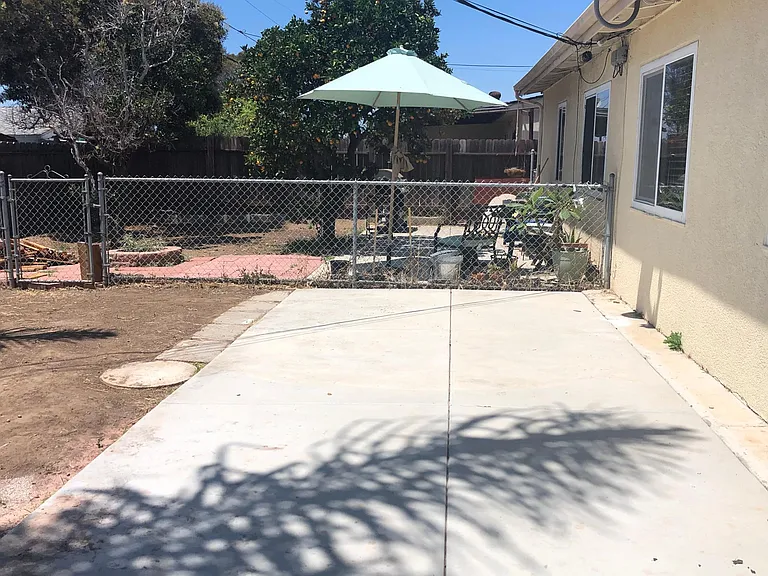 back yard