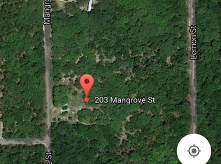 203 Mangrove St, Pomona Park, FL 32181