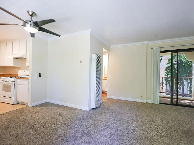 248 Avenida Palizada — Photo 2