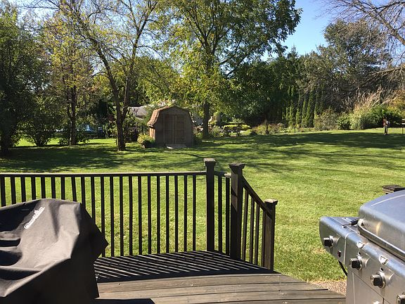 View of backyard from house