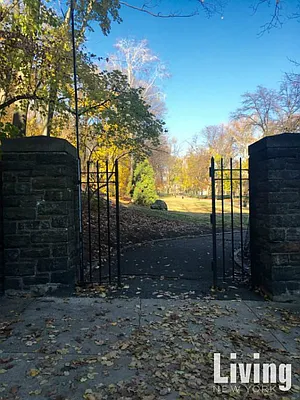 Rented by Living New York | media 1