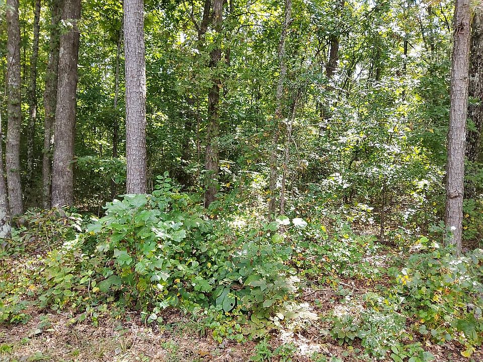2nd image of 0 Mauss Hill Rd Lot 1