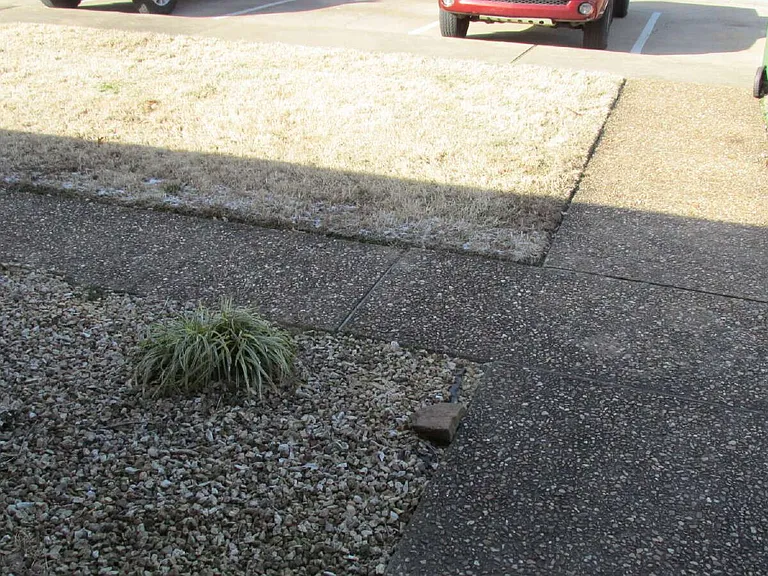 1320 W Linden St — Photo 7