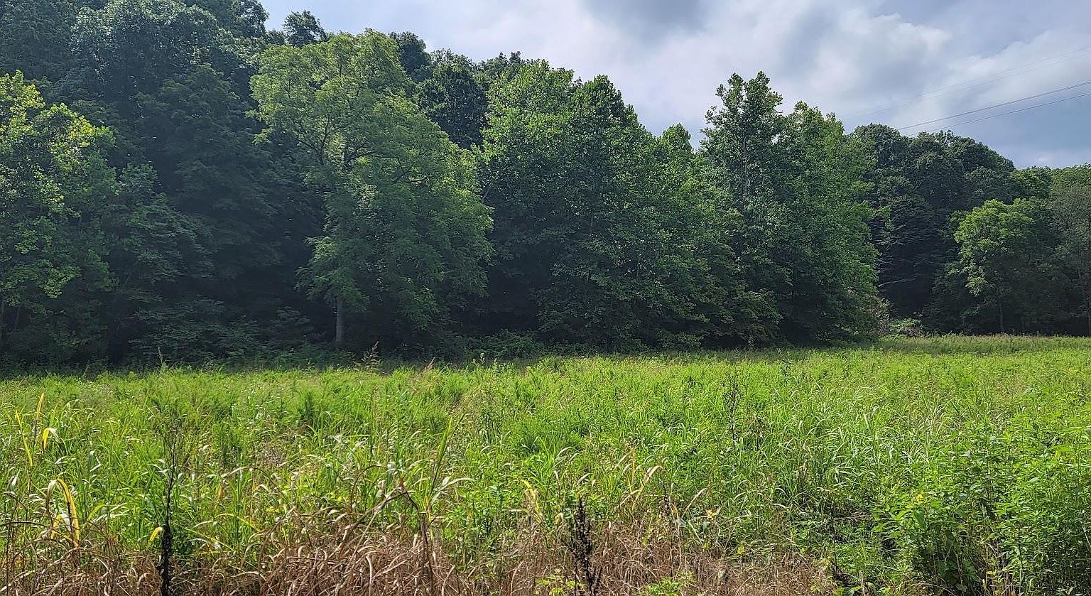 81100 Ea St, Dubois, IN 47527 Zillow