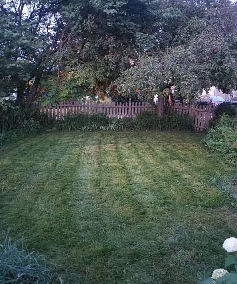 Multch bed recently removed for more grass.