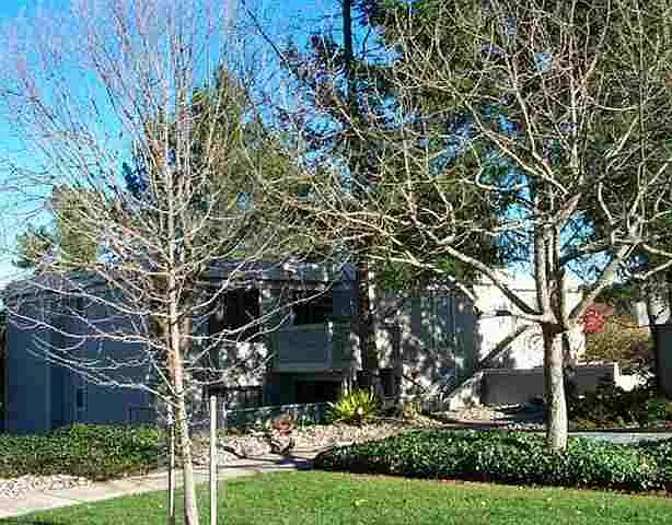 1557 Rockledge Ln #E8-3 photo 1