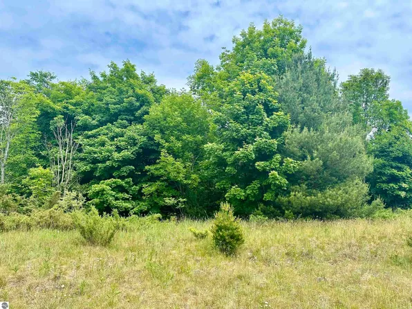 17 High Meadow Trl, Frankfort, MI 49635