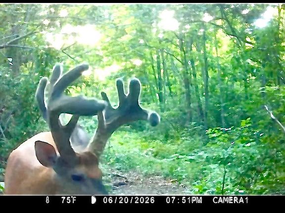 2nd image of 1575 Fair City Rd