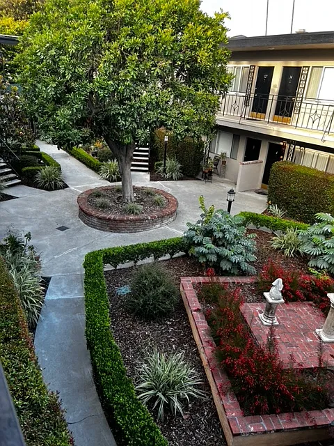 Studio, 550 sqft, $1,995 — Photo 3