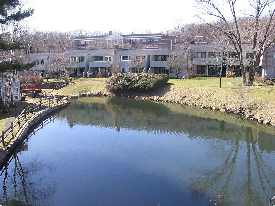 Direct views of pond