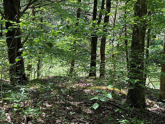 3rd image of 133 Cook Ln