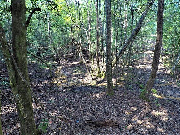 5th image of 836 County Road 151