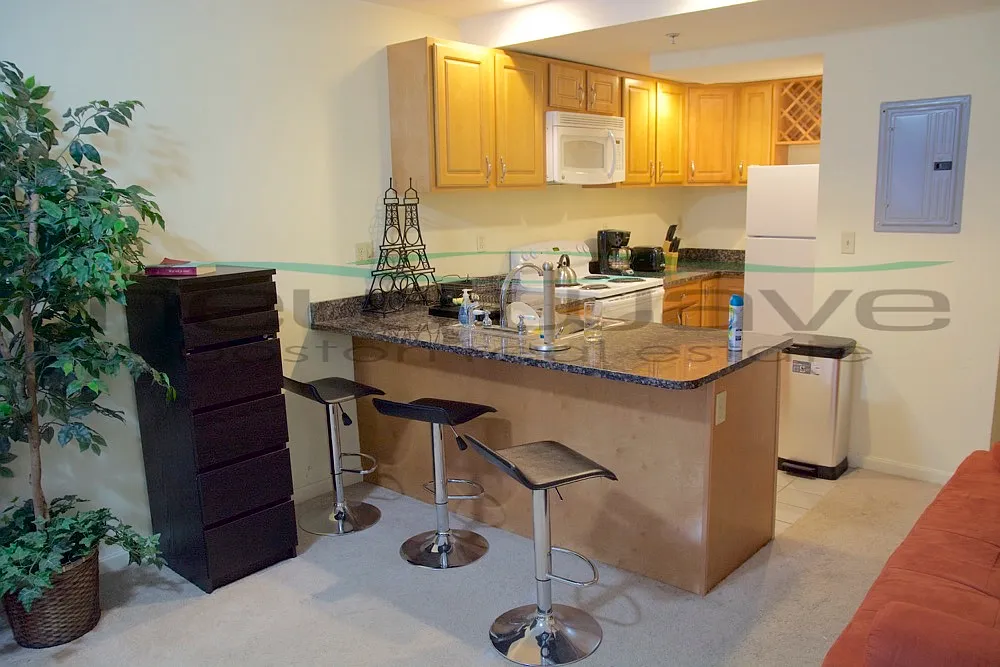 Studio, 500 sqft, $2,550 — Photo 2