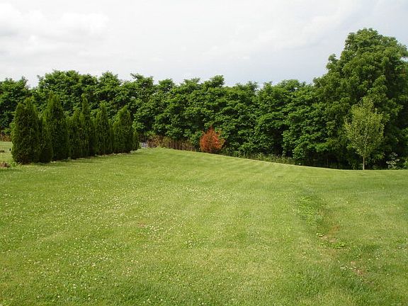 5th image of 4167 Barrett Pike