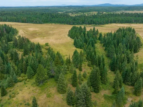 1605 Jasmine Ln Parcel 4, Weippe, ID 83553