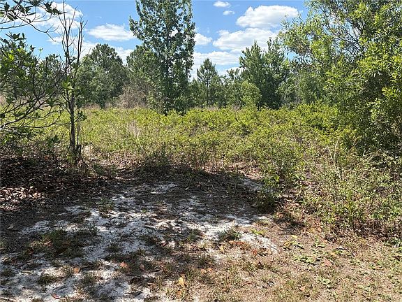 4th image of SAN JUAN AVE LOT 29
