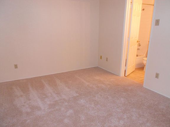 New carpets