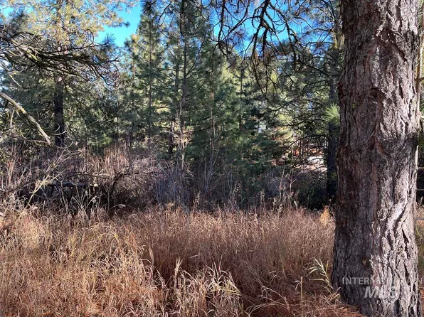 L129 Par Dr, Cascade, ID 83611