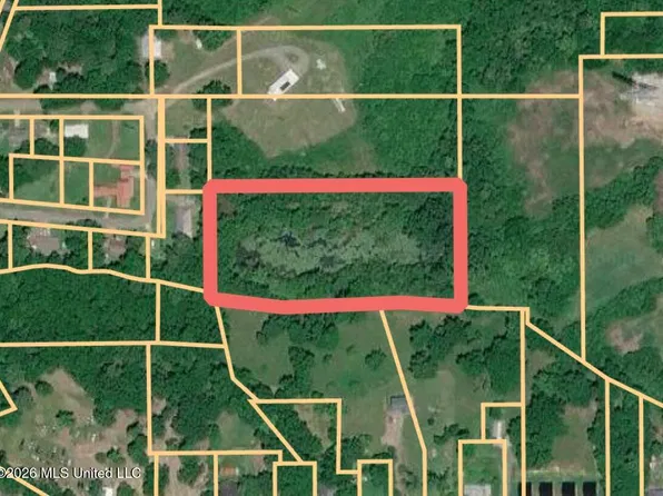 N Boykin St, Morton, MS 39117