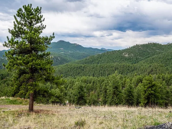 27873 Meadow View Drive, Evergreen, CO 80439