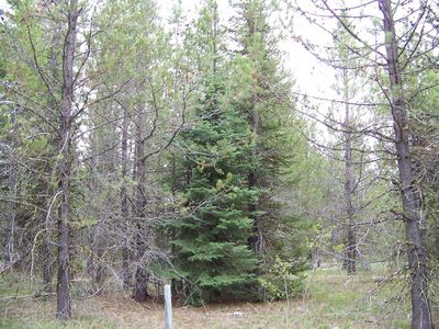 12776 Hereford Rd, Donnelly, ID, 83615