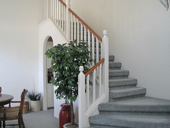 2nd image of 100 Cedar Falls Dr