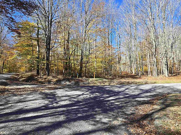 4th image of LOT 53 Bobcat Rd