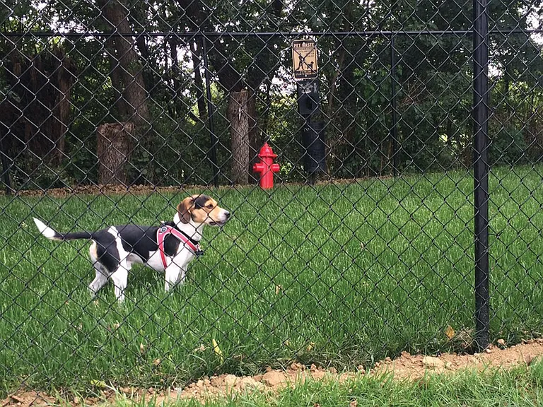 Briar Hills — Photo 7
