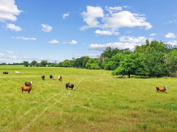1080 Grand Oaks Ranch Rd, Greenville, TX 75401