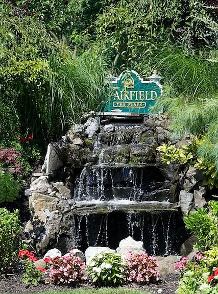 Fairfield Pines — Photo 2