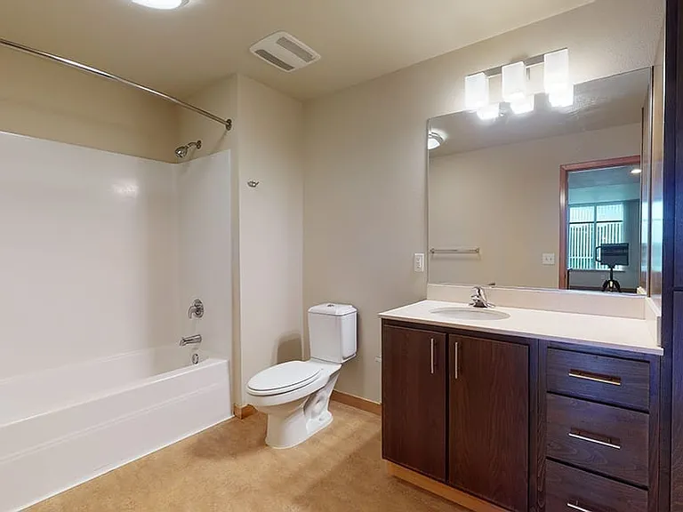 Apartment bathroom with wood-style flooring.