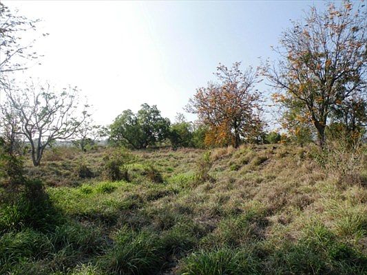 3rd image of Puu Lani Loop Lot 60